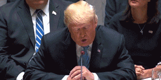 320x160_1538008629534226.gif